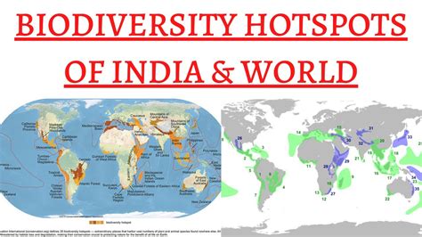 Biodiversity Hotspots In India Map