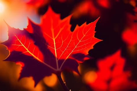 Premium AI Image | A red leaf is illuminated by the sun on a tree.