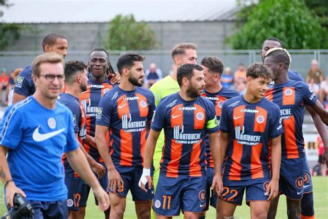 Mhsc Srfc La Composition Probable Pailladine Esprit Paillade