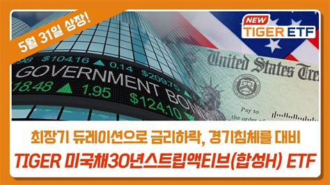 Tiger 미국나스닥넥스트100 미래에셋 Tiger Etf