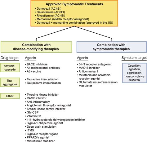 Treatment Combinations For Alzheimers Disease Current And Future