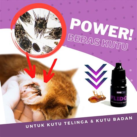 10 Ekor Ubat Kutu Kucing Kutu Telinga Earmite Kutu Pinjal Shopee