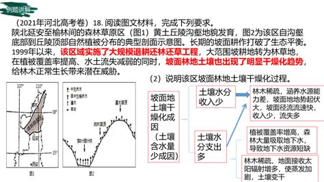 2023届高三地理新高考一轮复习课件 专题22：土壤（46张）21世纪教育网 二一教育