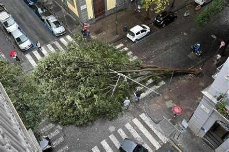 Maltempo Napoli Albero Crolla Su Auto Al Vomero Un Altro A Soccavo