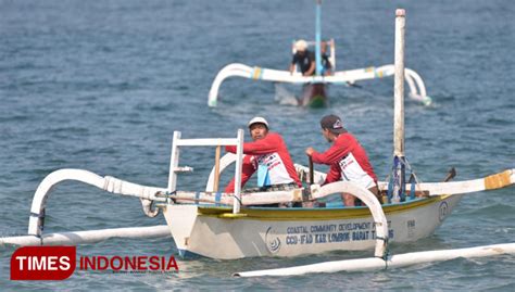 Lomba Perahu Dayung Meriahkan HUT Ke 61 Lombok Barat TIMES Indonesia