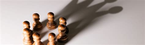 corporate management softlogic finance