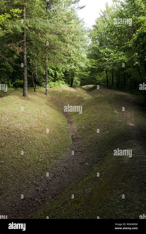 Remnants of World War One trenches from the Battle of Verdun, France Stock Photo - Alamy