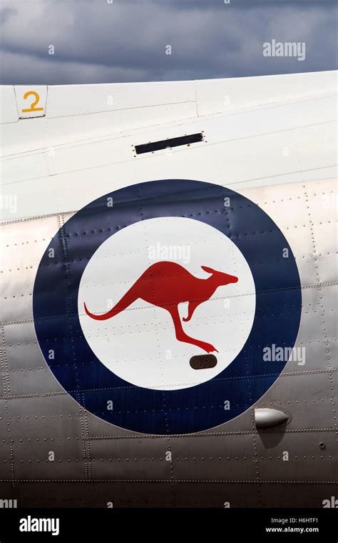 Australian Kangaroo Logo Hi Res Stock Photography And Images Alamy