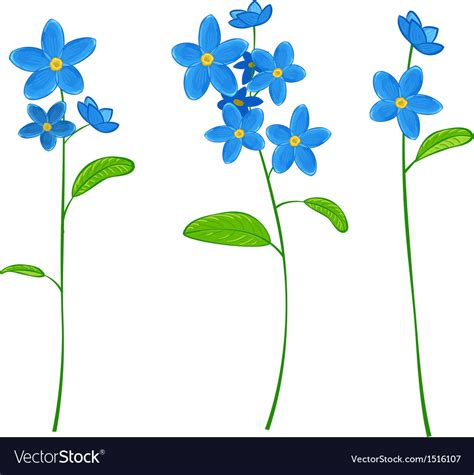 Forget Me Not Flowers Royalty Free Vector Image