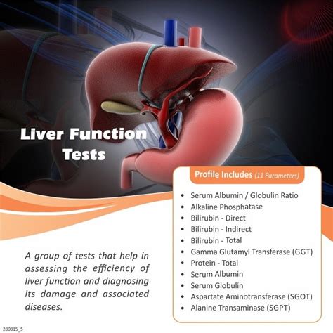 LIVER FUNCTION TESTS – Thyrocare Aarogyam centre/Diagnostic Centre ...