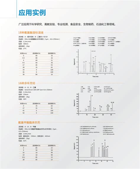 iChrom 5100高效液相色谱仪 大连依利特分析仪器有限公司