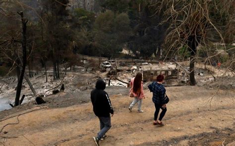 Gobierno Anuncia Plan Para Restaurar Jardín Botánico De Viña Del Mar Diario Usach