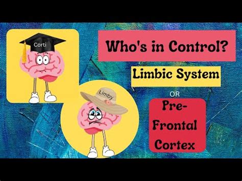 Training The Limbic System Dnrs Brain Retraining Anxiety Youtube