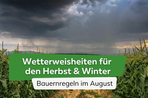 Bauernregeln Und Lostage Im August