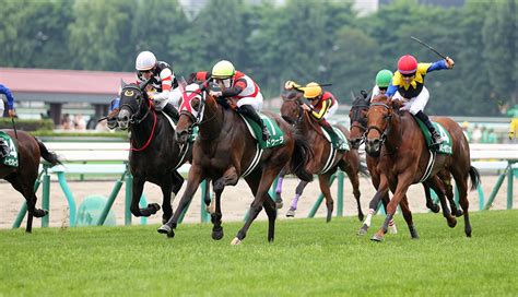 【アイビスサマーダッシュ・クイーンステークス2024予想】3連単6点勝負！今週の無料競馬予想！ ｜ 3連単6点勝負！競馬で夢を叶える！3連単