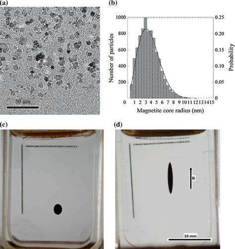 A Representative Tem Image Of Pdmsmagnetite Particles B Histogram Of