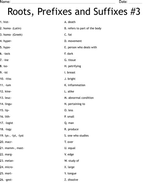 Prefix Suffix Worksheet Wordmint