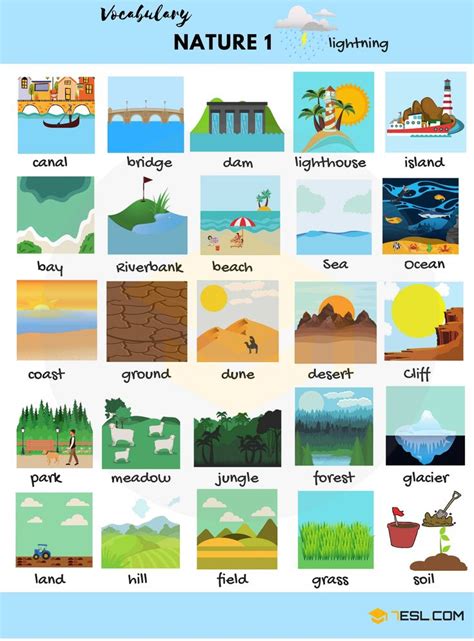 The Natural World Vocabulary in English with Pictures | English ...