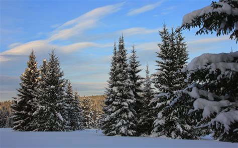 Fondos De Pantalla X Invierno Cielo Picea Nieve Naturaleza