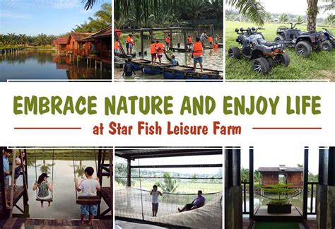 Embrace The Nature And Enjoy The Simplicity Of Life At Star Fish