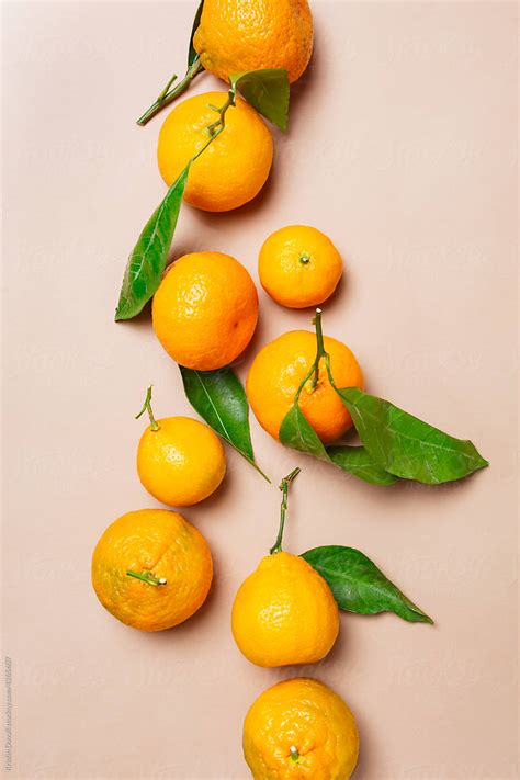 Row Of Satsuma Mandarian Oranges By Stocksy Contributor Kristin