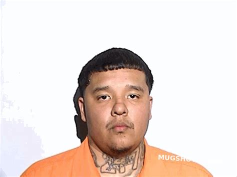 Hernandez Michael Joseph 03252024 Lucas County Mugshots Zone