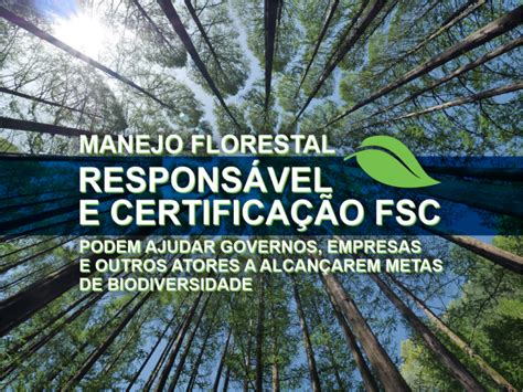 Manejo Florestal Respons Vel E Certifica O Fsc Podem Ajudar Governos