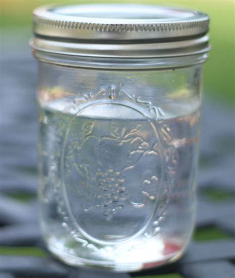 6 Easy DIY Wasp Trap Plans You Can Make Today With Pictures House Grail