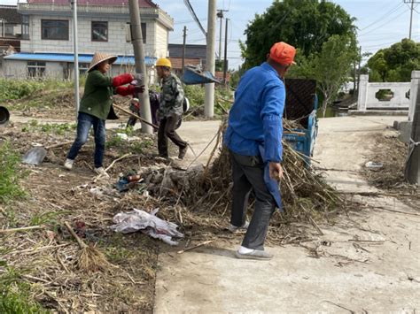 提“质”增“颜”迎新春 海门街道开展村庄清洁日行动 农田水利工程建设运营