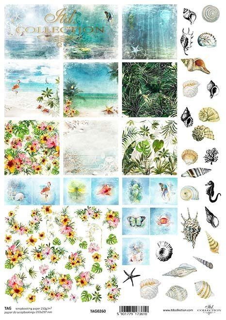 Tagi Do Scrapbookingu Tag Seria Tropical Dreams Tropikalne