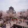 Hanami at Inuyama Castle, Aichi Pref., Japan | Norbert Woehnl Photography