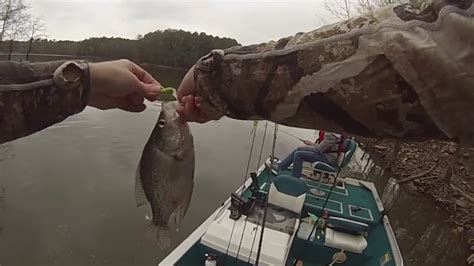 Crappie Fishing Shallow W Jigs Spring 2019 Jordan Lake Nc Youtube