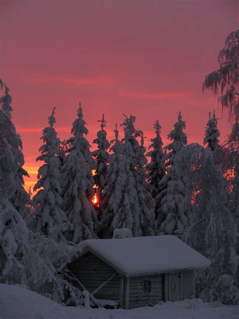 It's a beautiful world | Winter landscape, Winter scenery, Winter scenes
