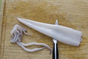 How To Clean Squid In Easy Steps Living A Life In Colour