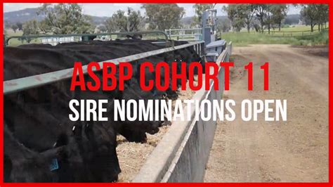 Asbp Cohort 11 Sire Nominations Are Now Open Youtube