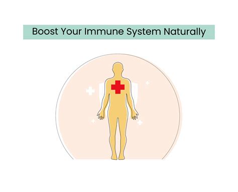 Boost Your Immune System Naturally Danai Medi Wellness