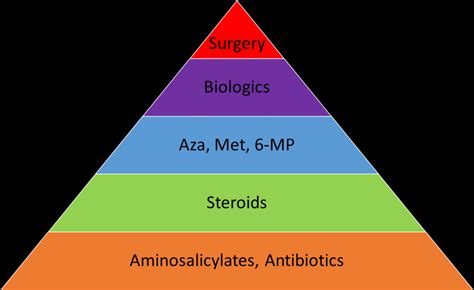 Options For Treatment Of Ibd Adapted From [52] Download Scientific Diagram