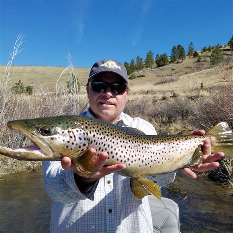 Guided Fishing Trips by Montana Fishing Outfitters