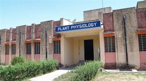 Plant Physiology Skn College Of Agriculture Jobner