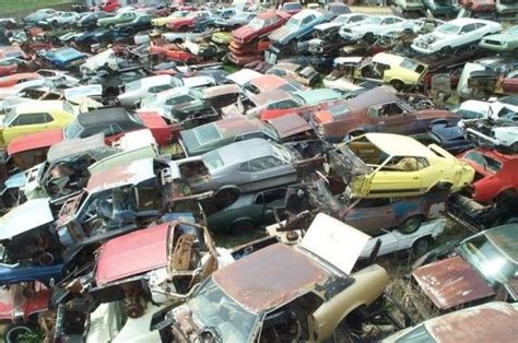 World S Largest Ford Mustang Salvage Yard Mustang Junkyard Cars Abandoned Cars