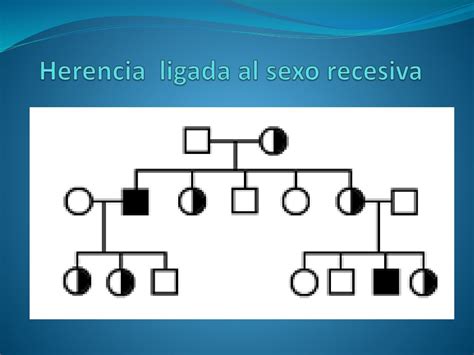 Tema 4 Patrones De Herencia