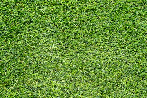 Green Grass Texture For Background Green Lawn Pattern And Texture Background 3834815 Stock