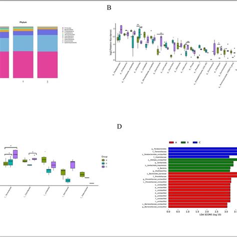 The Microbiota Structure At Phylum Level Diff Abundance In Genus And