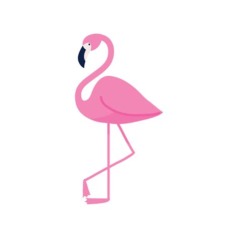 Flamingo Bird Icon 11212255 Vector Art At Vecteezy