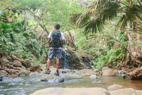 Mauritius The Wild South Hiking Tour With A Guide Getyourguide