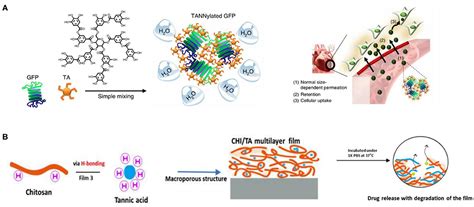 Frontiers Medical Applications Based On Supramolecular Self Assembled