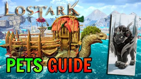 Everything You Need To Know About Pets In Lost Ark YouTube