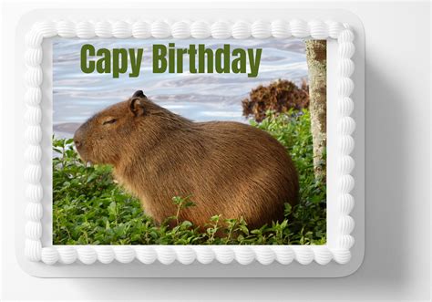 Capybara Capy Birthday Edible Image Edible Cake Topper Frosting Sheet