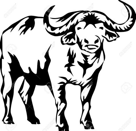 Cape Buffalo Drawing at GetDrawings | Free download