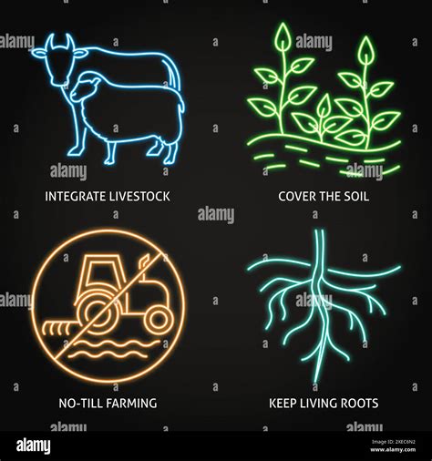 Regenerative Agriculture Principles Neon Icon Set Sustainable Farming